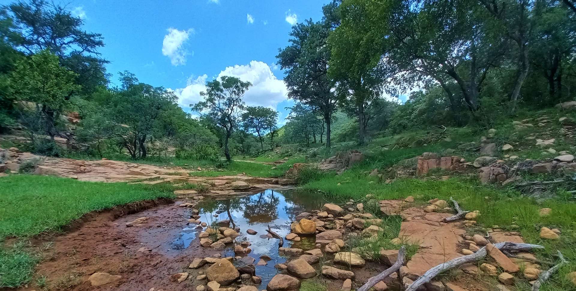 325193279.jpg