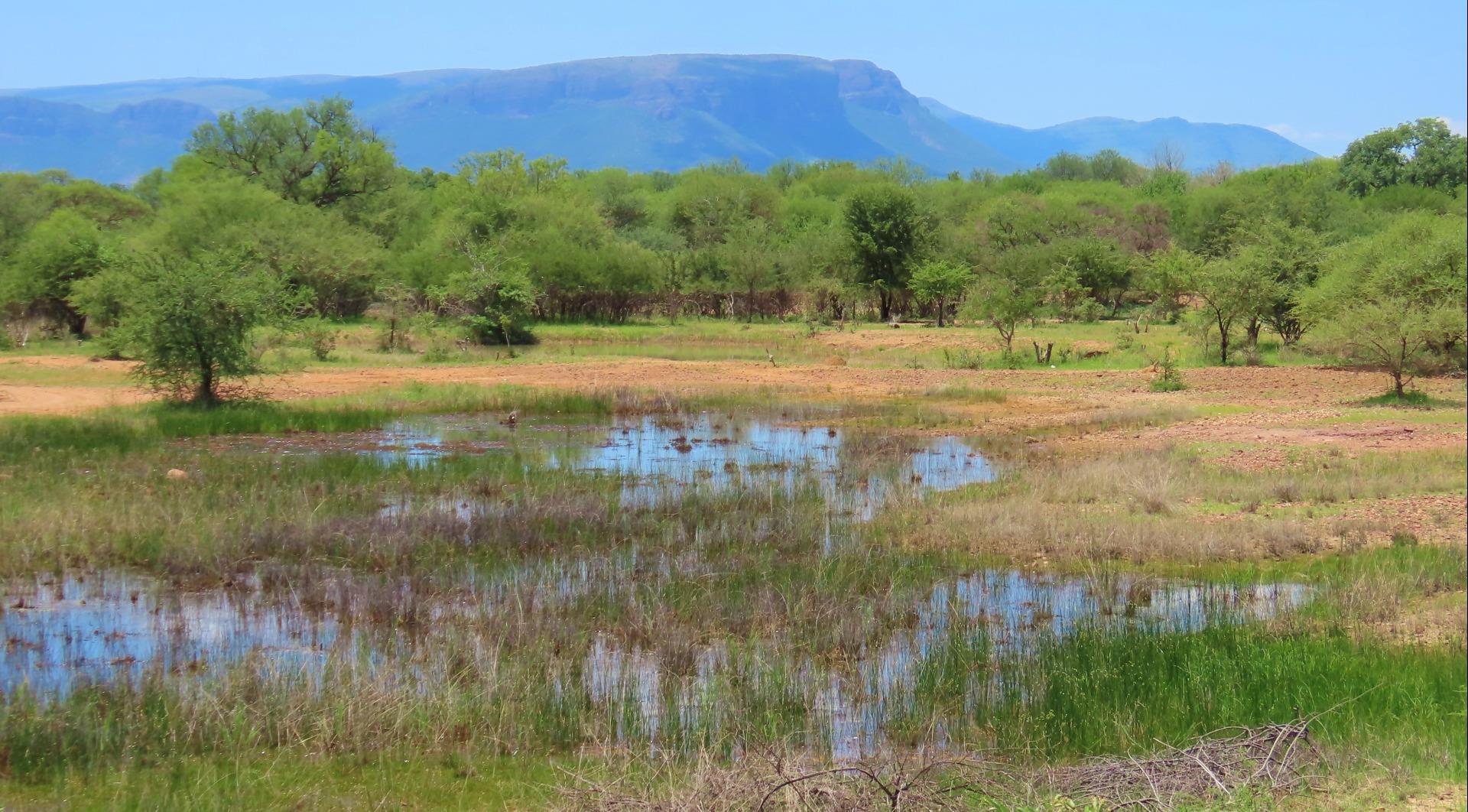 Farm for Sale - Limpopo
