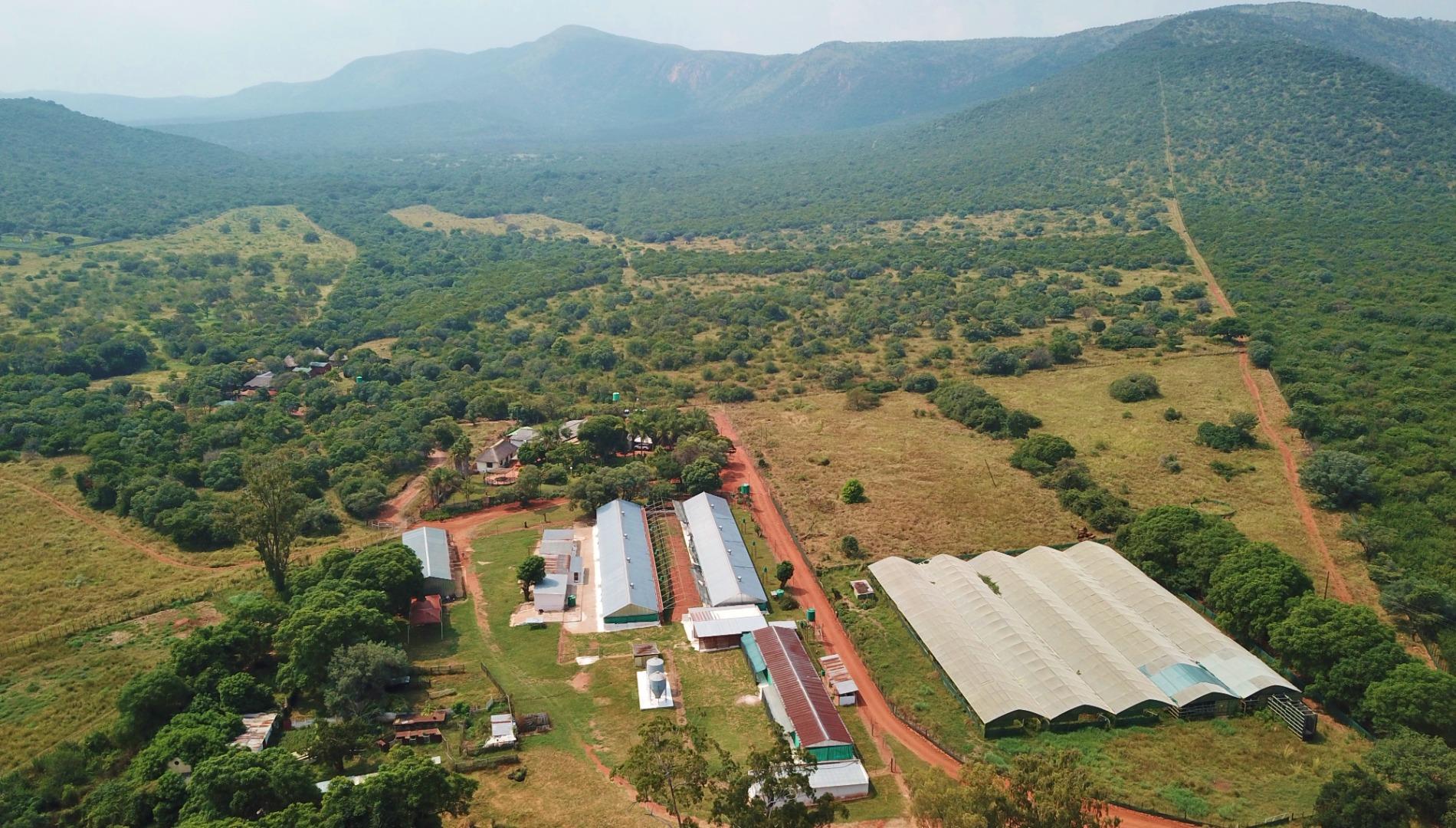 Farm for Sale - Limpopo