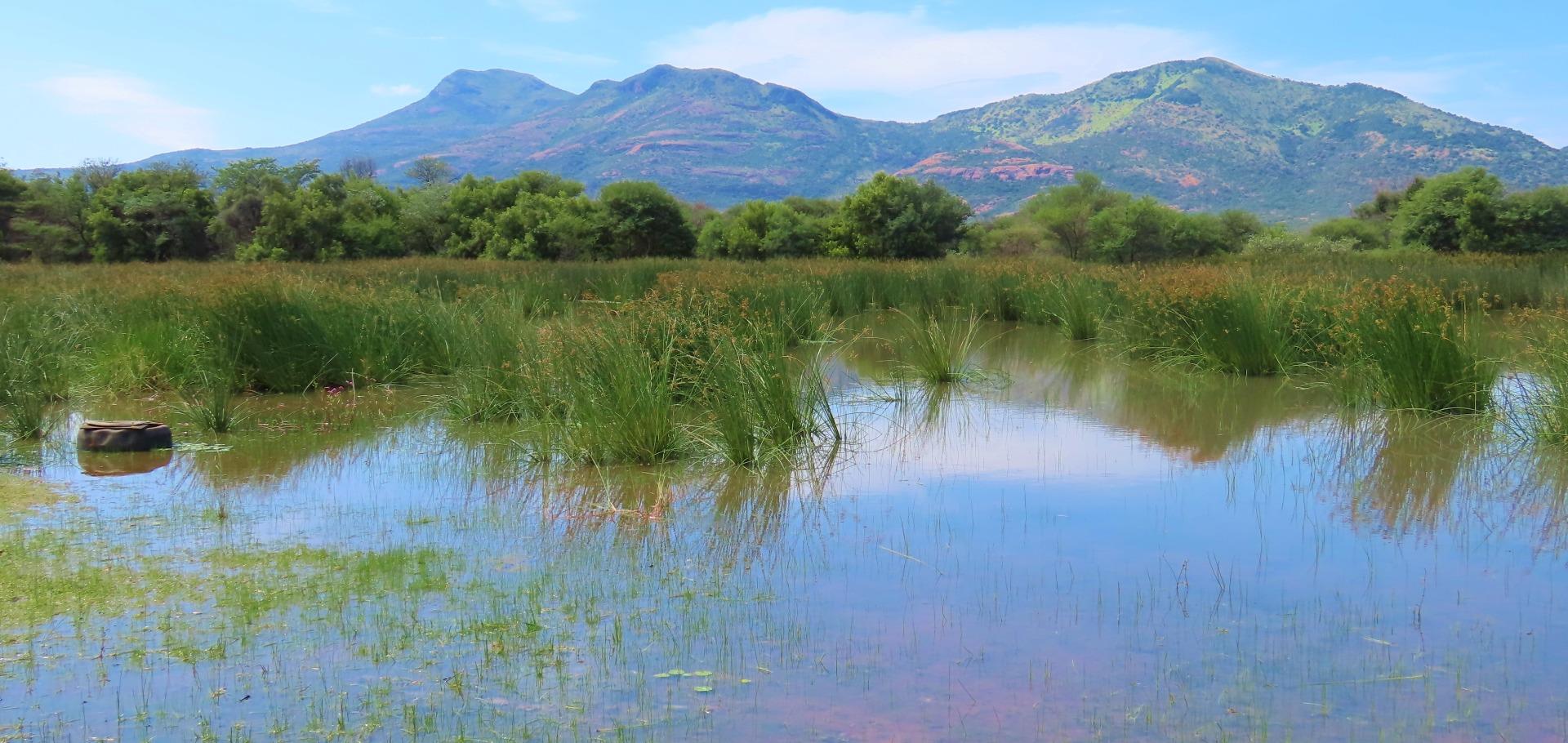 Farm for Sale - Limpopo