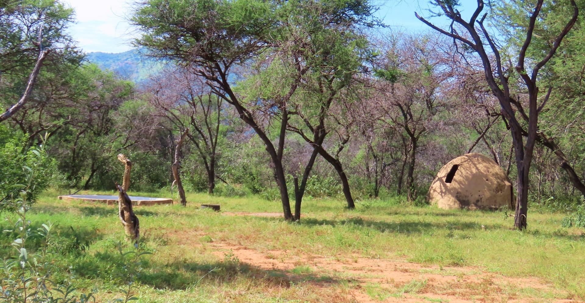740129_42.JPG