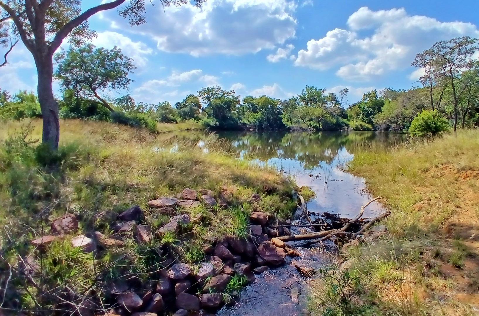Farm for Sale - Limpopo